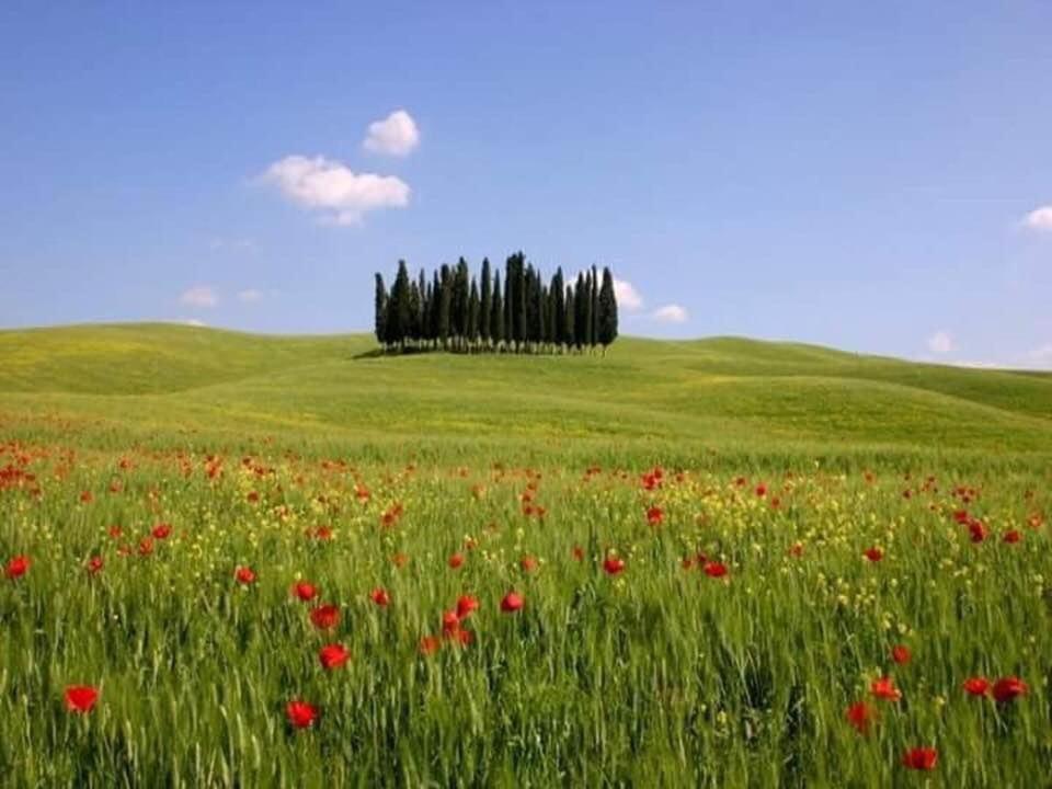 Casetta nel borgo Gambassi Terme Esterno foto