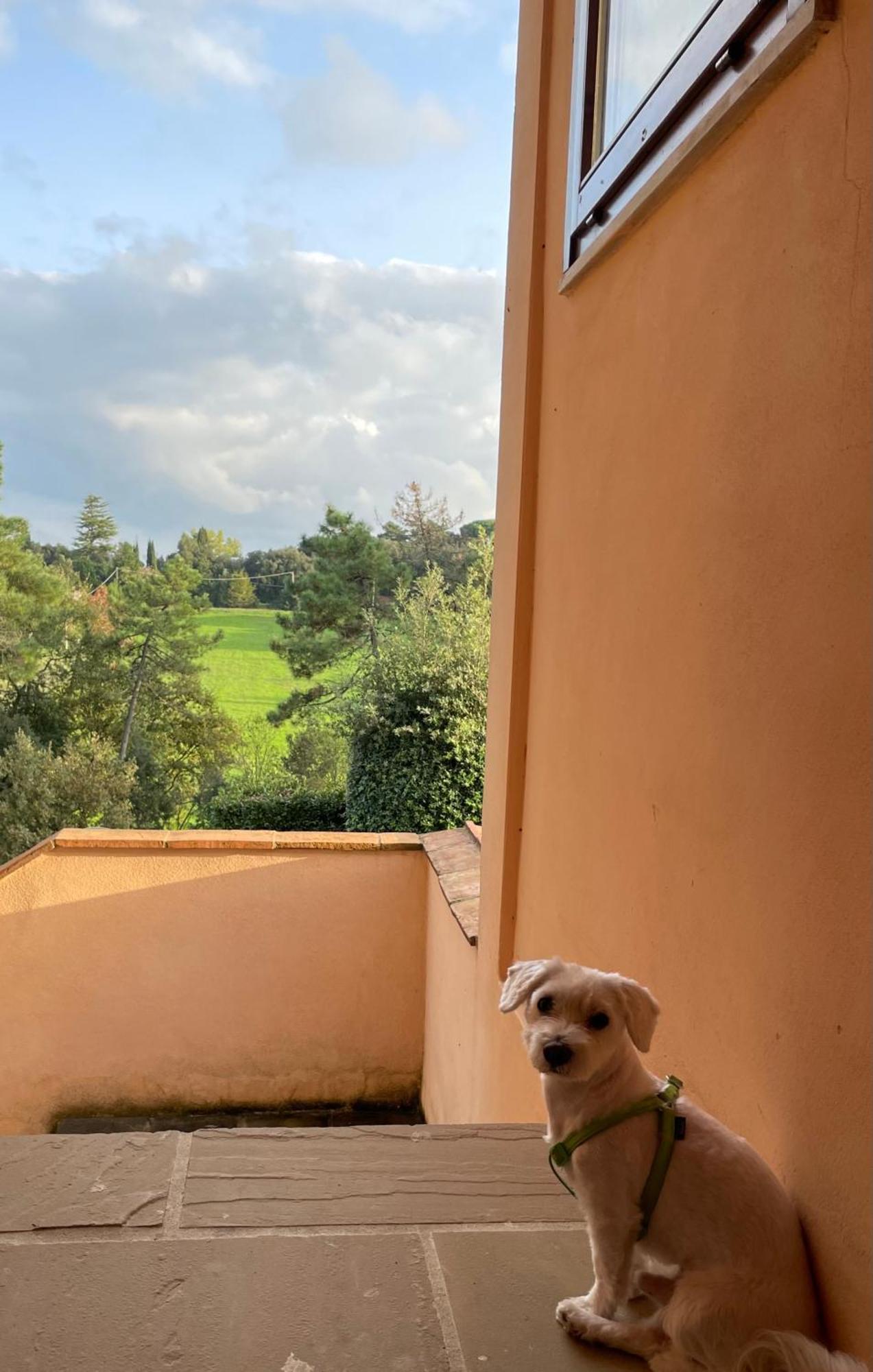 Casetta nel borgo Gambassi Terme Esterno foto